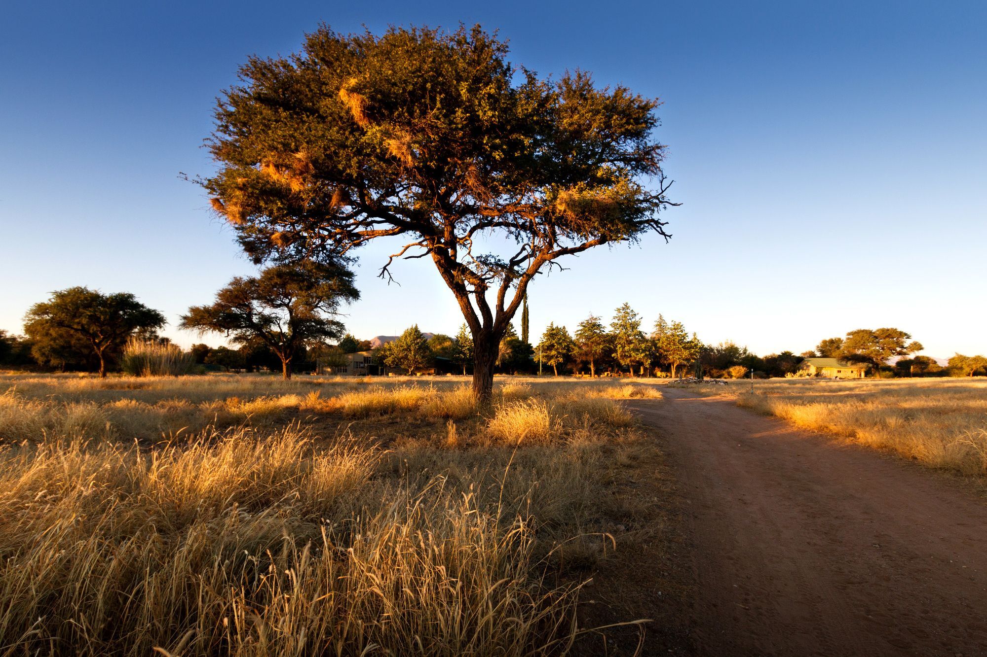 Ondekaremba Lodge Windhoek Ngoại thất bức ảnh